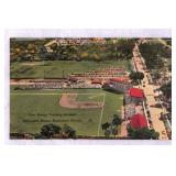 1956 Milwaukee Braves Bradenton Postcard