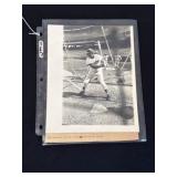 1970 Ted Williams Washington Senators Photo