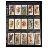 (30) Wills's Cigarettes Trade Cards