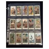 50 Wills's Nesting Birds Complete Set
