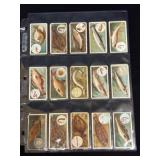 (27) Wills Cigarette Cards Featuring Fish