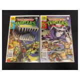 (2) 1989 Teenage Mutant Ninja Turtles Comic Books