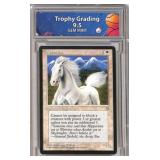 Magic: The Gathering Hippogriff Card Graded 9.5