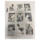 1969 Topps Deckle Edge Baseball Cards (9)