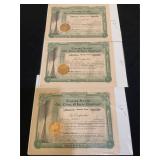 Empire State Oil, Coal, Iron Company Shares Papers