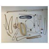 Lot of 20 Necklaces & more