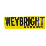 Weybright Hybrids Metal Flange Sign