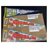 Souvenir Pennants