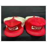 PAYCO Seed Hats-9 in the Lot