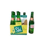 Ski 6 Pack Glass Bottles