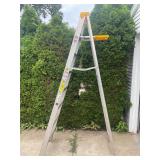 8 Foot Metal Ladder