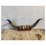 Bull Horns