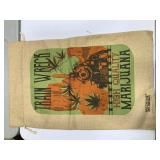 Novelty Bag