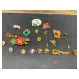 Jewelry Lot of Pins