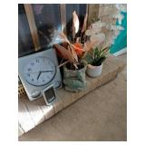 Decor Set: Clock, Plants, and Vase