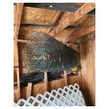 Large Roll of Green Wire Fencing
