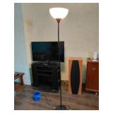 Poseable Floor Lamp with Adjustable Light