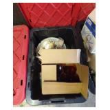 Glassware and Shells