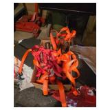 Ratchet Straps in Assorted Colors