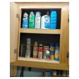 Shelf of Automotive and Cleaning Products