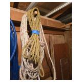 Coiled Rope Lot with Two Types