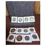 12 Sacagawea Dollar Coins