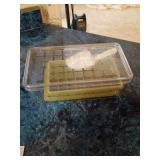 Clear and Green Ice Cube Tray Set