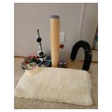 Cat Activity Center with Accessories