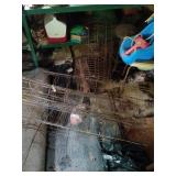 Steel Wire Plant Stakes Collection