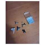 Fossilized Shark Teeth Collection