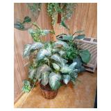 Artificial Plants and Hanger