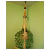 Macrame Hanging Planter