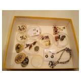 Jewelry and Pins Lot