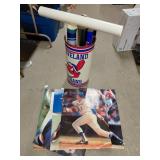 Baseball Poster Collection in Indians Can