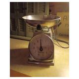 Taylor Chrome Kitchen Scale