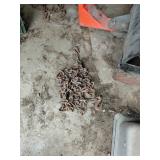 HD Chain with Two Hooks