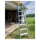 Werner Fiberglass Step Ladder