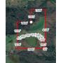 Real Estate Auction