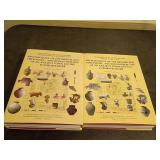 Archaeology of Tell Es-Sweyhat, 2 Vols
