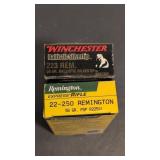 Winchester and Remington Ammo Lot