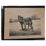 Framed Print of Mare and Foal in Field by Anderson