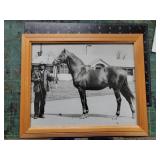 Black and White Horse Photograph in Frame