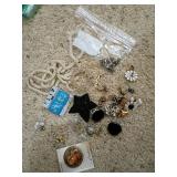Costume Jewelry and Brooches Lot