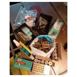 Shells and Casings Collection