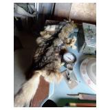 Tanned Animal Fur Pelt, Likely Coyote or Fox