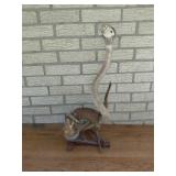 Taxidermy Snake and Squirrel Diorama, 24in Tall