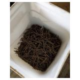 Large Bucket of Mixed Nails
