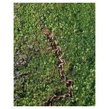 Heavy Duty Metal Chain With Single Hook End