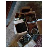 Hardware Fasteners and Nails Lot