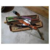 Martin Warthog Magnum Compound Bow & Arrows
